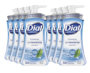 Dial&reg; Complete Spring Water Foaming Soap